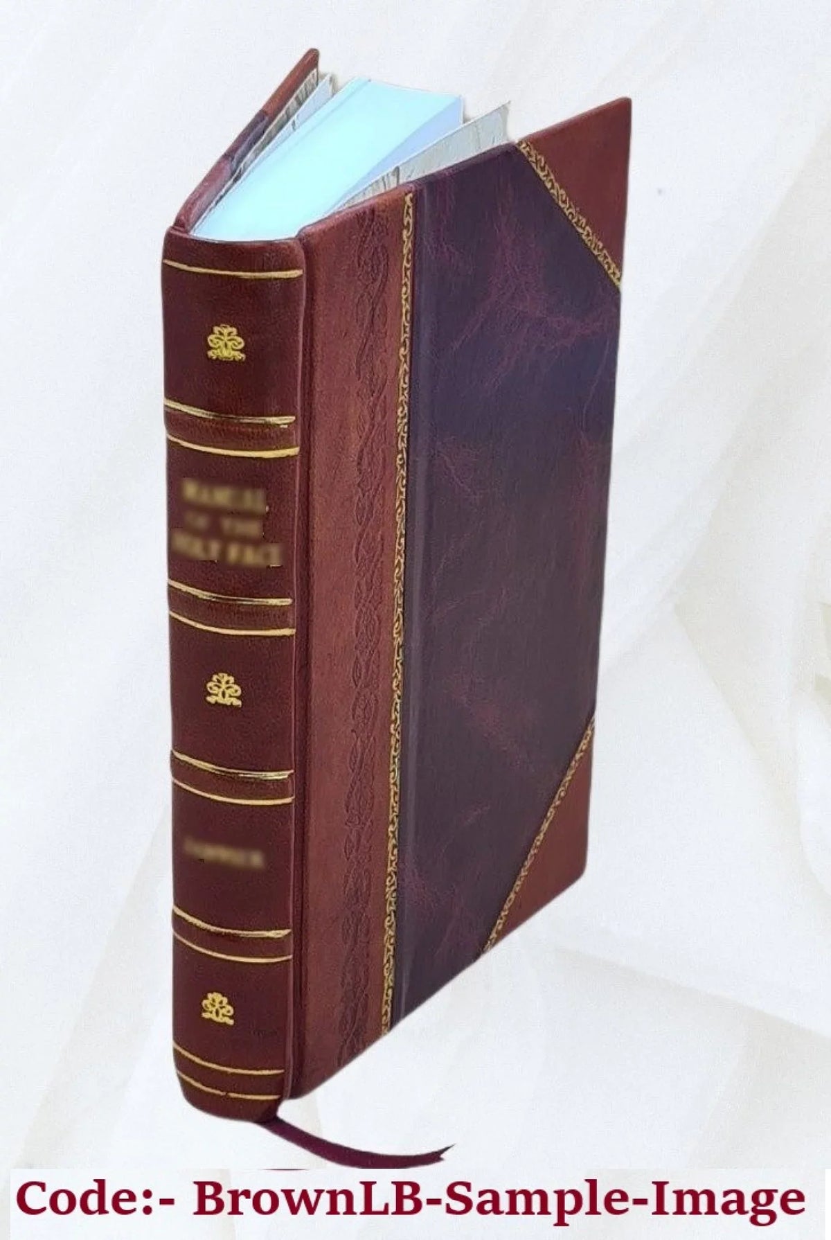 Illus. Kelly. Bound] [Leather Enright. 1920 Johnnie Wright Maginel by
