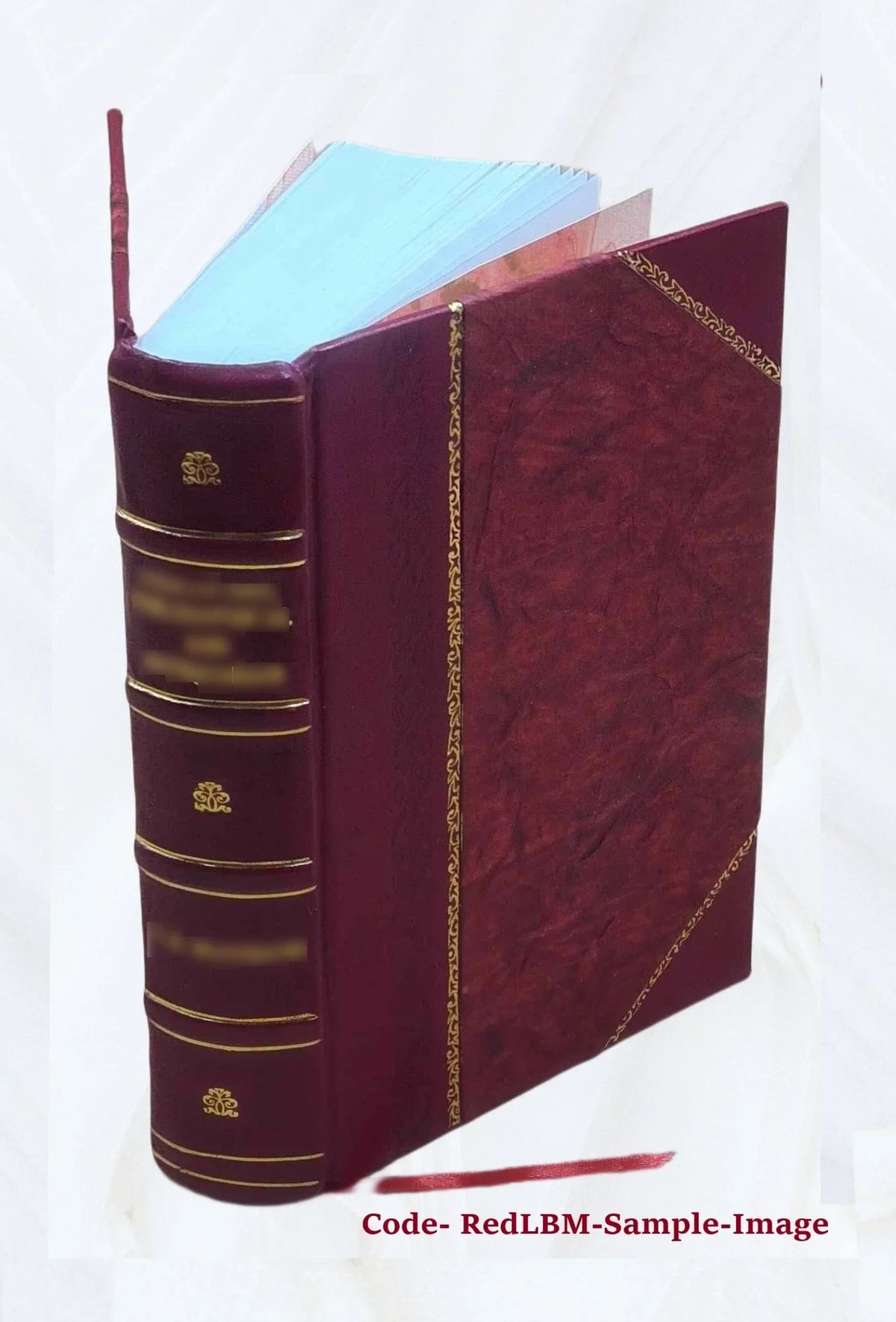 Dept. [Leather staff manual. Grants : Bound] 1999 administration