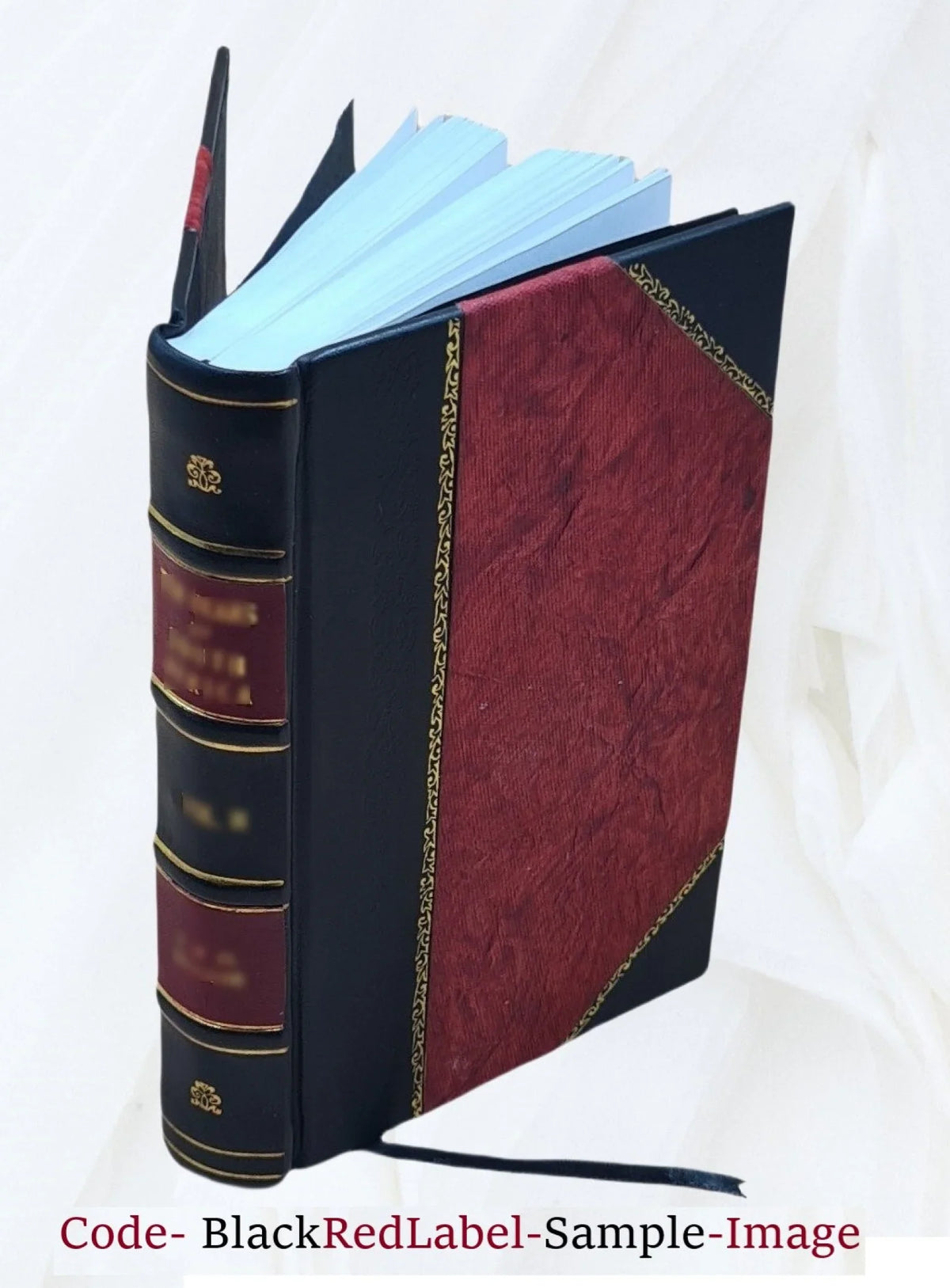Illus. Kelly. Bound] [Leather Enright. 1920 Johnnie Wright Maginel by