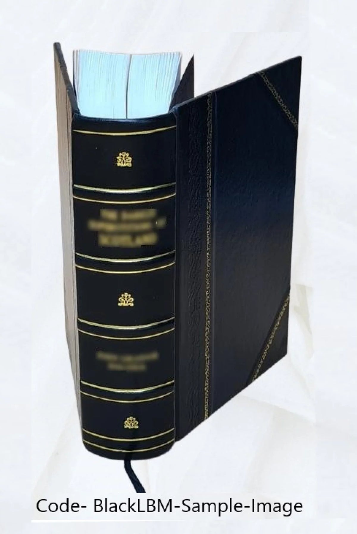 Dept. [Leather staff manual. Grants : Bound] 1999 administration